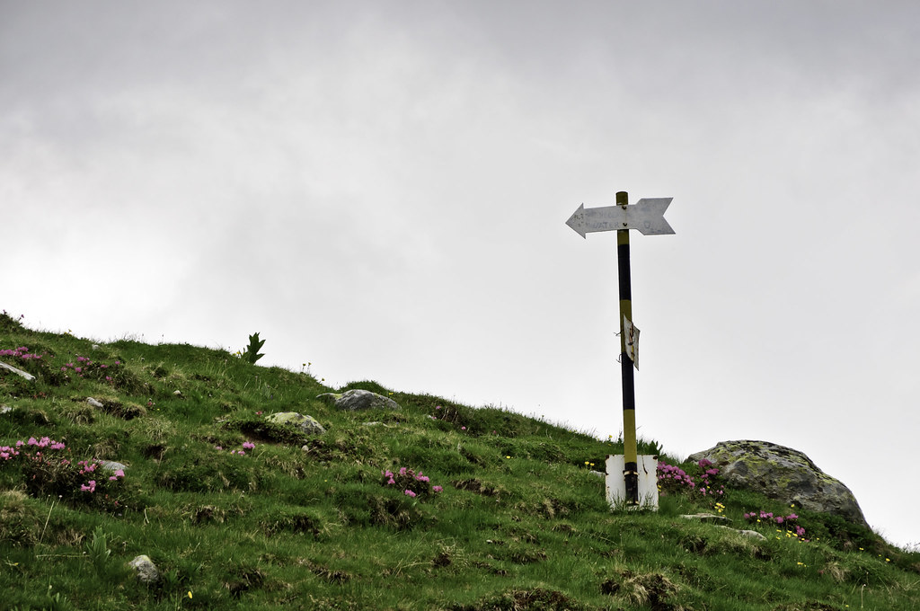 Hiking trail sign on green hill